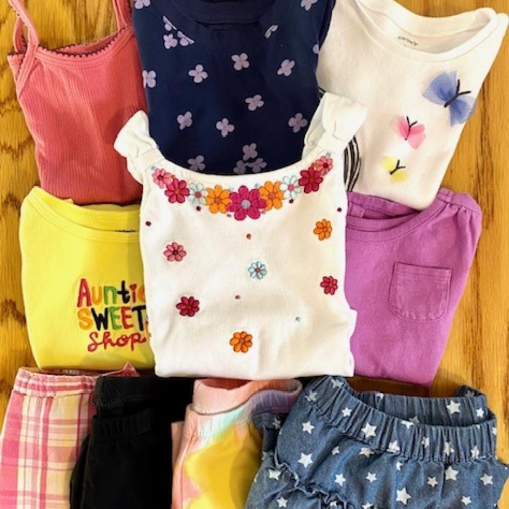 Girl's 2T Clothing Lot: Carter's, Hanna Anderson+